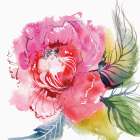 Regal Art Print