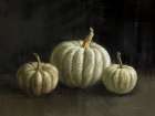Three Pumpkins Art Print
