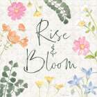 Petals and Promise VI Art Print