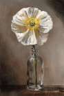 White Poppy Art Print