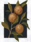 Orange Study IV Art Deco Print