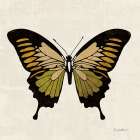 Belindas Butterfly on Cream I Art Print