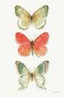 Rainbow Seeds Butterflies Fall I Art Print