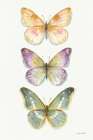 Rainbow Seeds Butterflies Fall II Art Deco Print