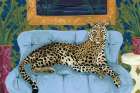 Cheeky Cheetah I Art Deco Print