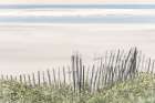 Coastal Fence I Art Print