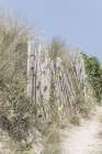 Coastal Fence II Art Print