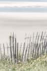 Coastal Fence III Art Print
