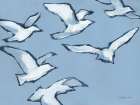 Seagulls Art Print