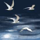 Seagulls Over the Blue Sea Art Print