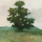 Heritage Oak I Art Print