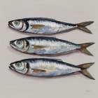Three Little Fishies Neutral Art Print