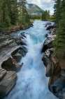 Numa Falls Art Print