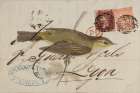 Willow Warbler Art Deco Print