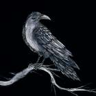 Enchantment III Art Print