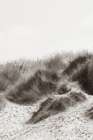 Soluna Dunes I Modern Print