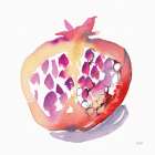 Pomegranate Modern Print