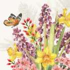 Fresh Petals VI Art Print