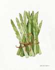 Life on the Farm Asparagus Art Print