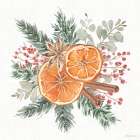 Winter Warmth IV Art Print