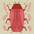 Playful Bugs IV Art Print
