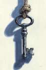 Antique Mystery Key Art Print