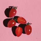 Sliced Tomatoes Study Art Deco Print