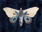 Elegant Moth I Art Print