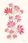 Pretty Blooms I Art Print