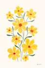 Pretty Blooms II Art Print
