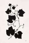 Shadow Botanical I Modern Print