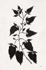 Shadow Botanical II Art Deco Print