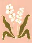 Flourish I Art Print