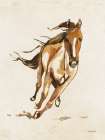 Ride Em Art Print