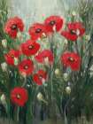 Whispering Poppies Art Print