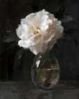 White Peony In a Glass Vase Art Print