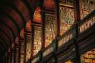Trinity Library Design Art Print