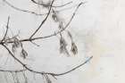 Impression Minimalist Print