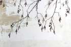 Catkins in Plaster I Art Print