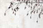 Catkins in Plaster II Minimalist Print