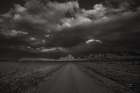 Road to Me BW Art Print