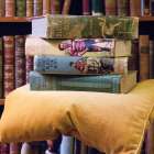 Books for Boys Art Print