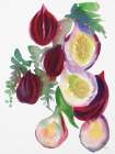 Falling Figs Art Deco Print