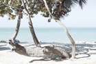 Fort Zachary Beach II Art Print