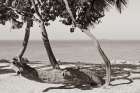 Fort Zachary Beach II BW Art Print