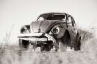 Punch Buggy BW Art Print