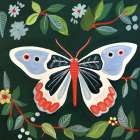 Butterfly Art Print