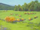 Summer Hay Fields Art Print