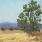 Venerable Tree Art Print
