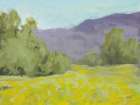 Yellow Wildflowers Art Print
